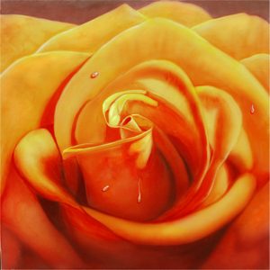 Rosa naranja - PY-215MO