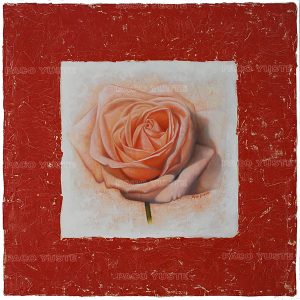 Rosa de primavera - PY5026FL